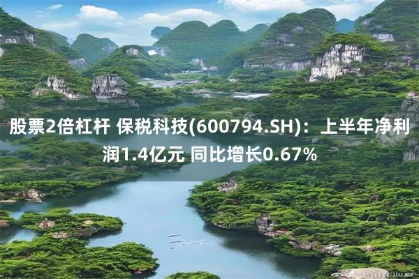 股票2倍杠杆 保税科技(600794.SH)：上半年净利润1.4亿元 同比增长0.67%