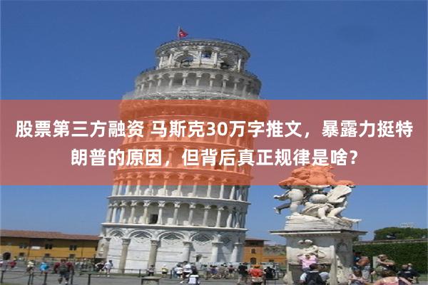 股票第三方融资 马斯克30万字推文，暴露力挺特朗普的原因，但背后真正规律是啥？