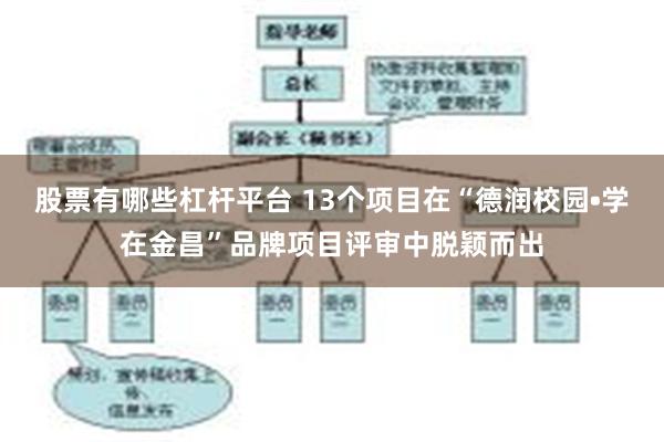 股票有哪些杠杆平台 13个项目在“德润校园•学在金昌”品牌项目评审中脱颖而出