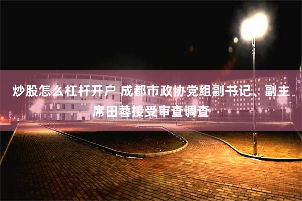 炒股怎么杠杆开户 成都市政协党组副书记、副主席田蓉接受审查调查